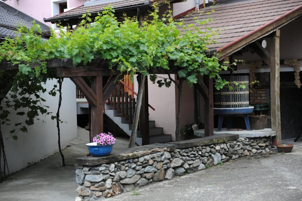 Kutjevo Wellness B&B Winery Sontacchi מראה חיצוני תמונה